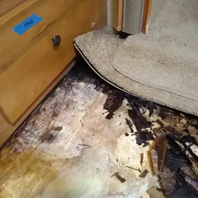 Wood Floor Water Damage in Chelan, WA